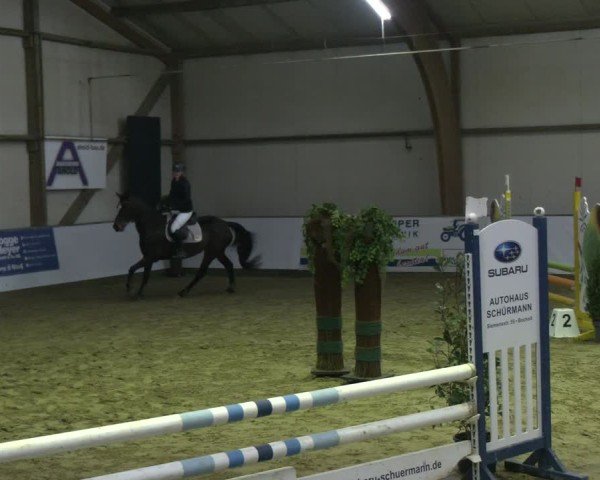 Reitturnier Barlo-Bocholt 2025