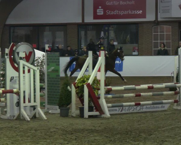 Reitturnier Barlo-Bocholt 2025