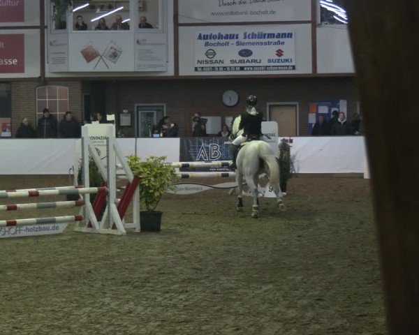 Reitturnier Barlo-Bocholt 2025
