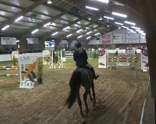 Reitturnier Barlo-Bocholt 2025