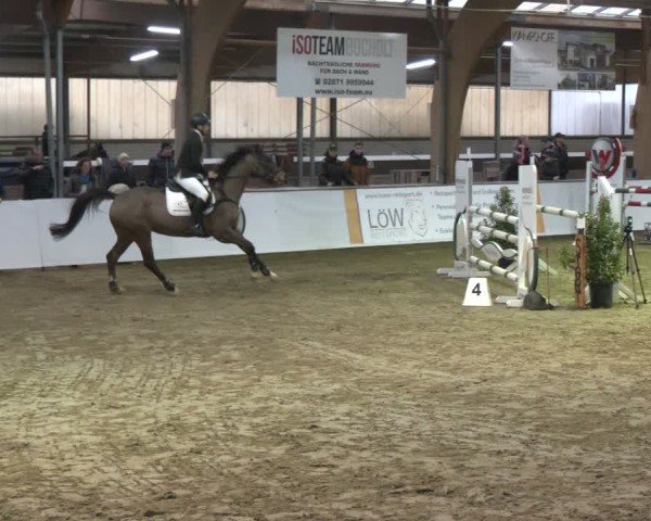 Reitturnier Barlo-Bocholt 2025