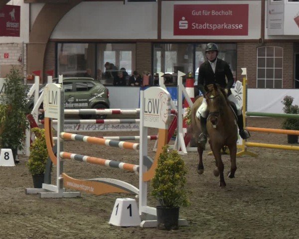 Reitturnier Barlo-Bocholt 2025