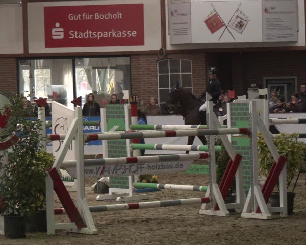 Reitturnier Barlo-Bocholt 2025