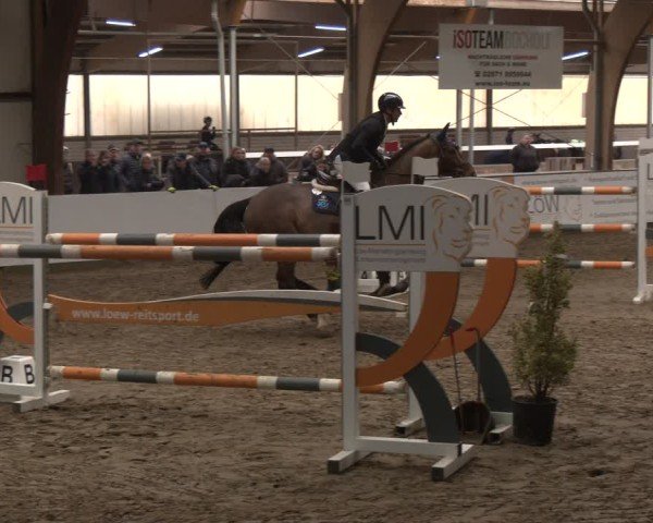 Reitturnier Barlo-Bocholt 2025
