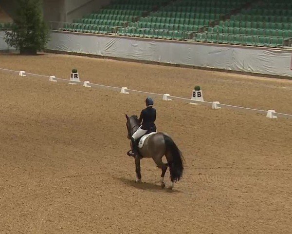 Reitturnier Kreuth/Opf. 2025