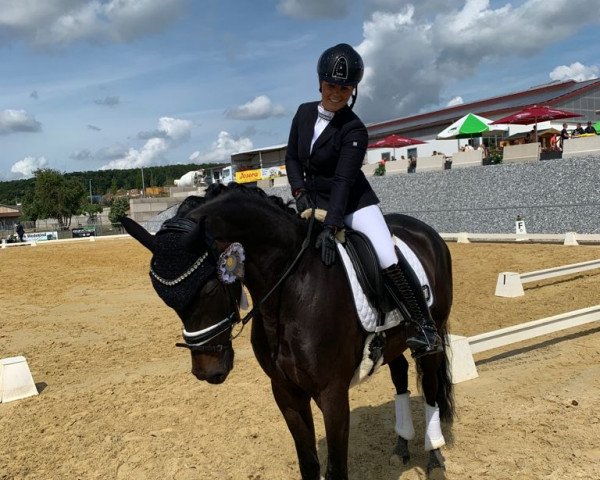dressage horse Fürst Diamond 7 (Oldenburg, 2017, from Fürstenball)