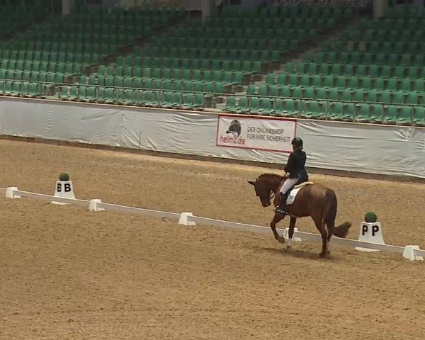 Reitturnier Kreuth/Opf. 2025