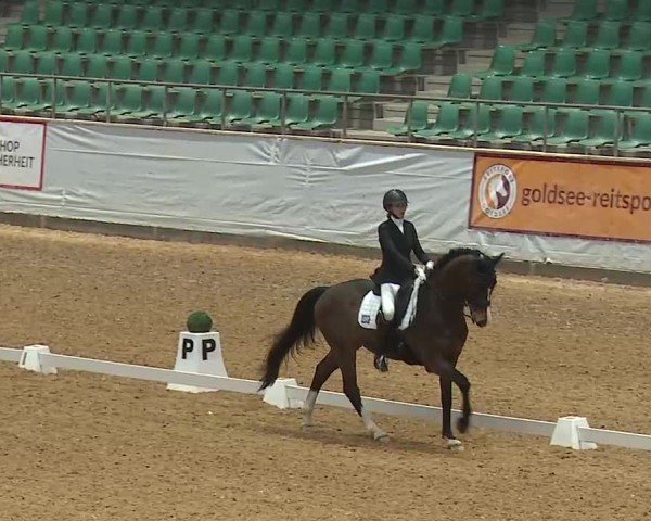 Reitturnier Kreuth/Opf. 2025