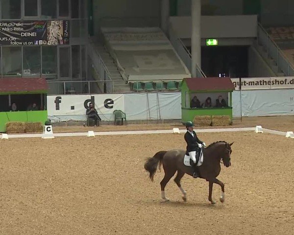 Reitturnier Kreuth/Opf. 2025