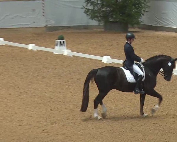 Reitturnier Kreuth/Opf. 2025