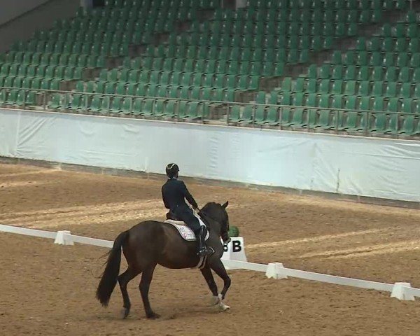 Reitturnier Kreuth/Opf. 2025