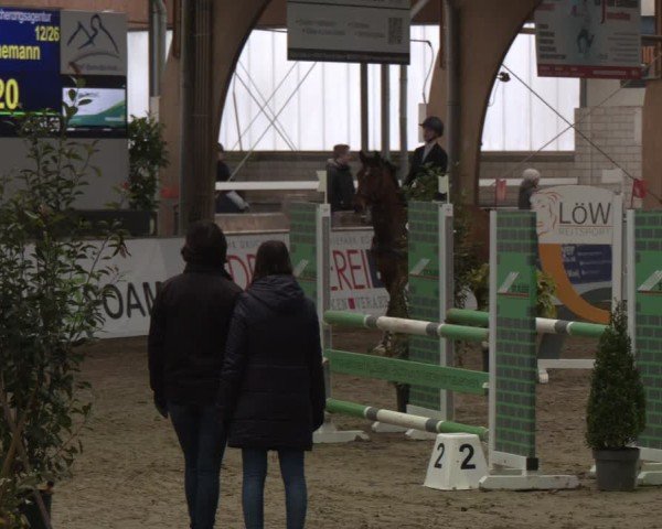 Reitturnier Barlo-Bocholt 2025