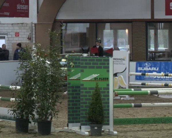 Reitturnier Barlo-Bocholt 2025