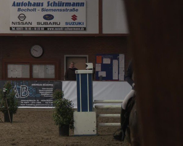 Reitturnier Barlo-Bocholt 2025