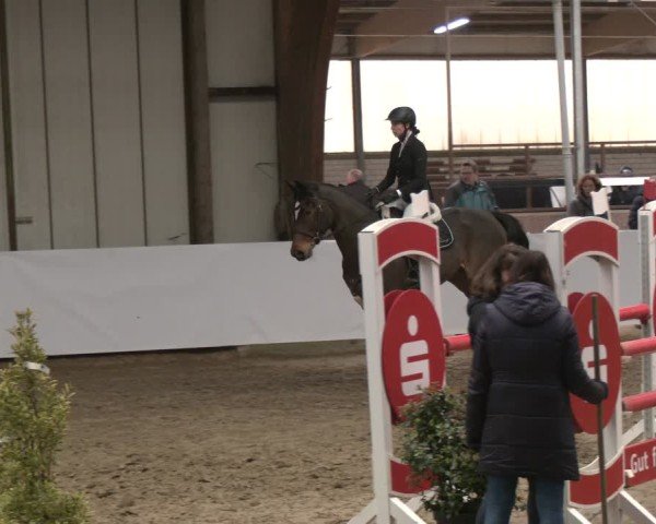 Reitturnier Barlo-Bocholt 2025