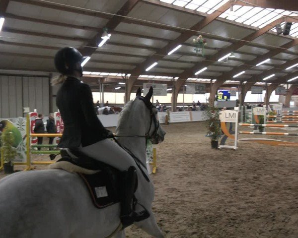 Reitturnier Barlo-Bocholt 2025