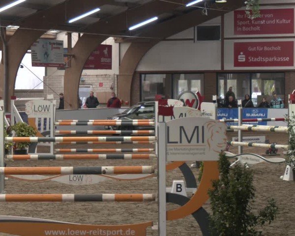 Reitturnier Barlo-Bocholt 2025