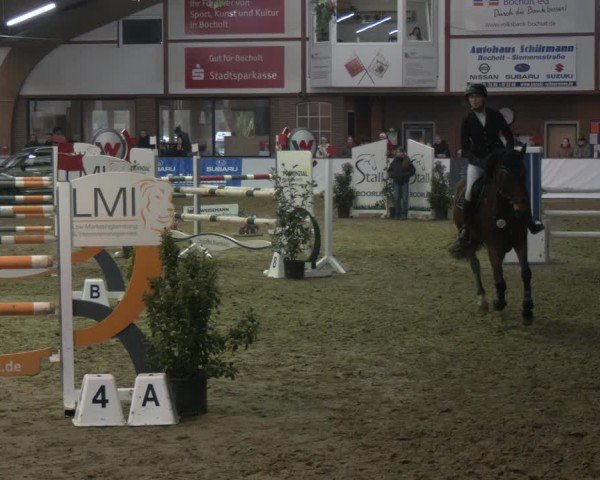Reitturnier Barlo-Bocholt 2025