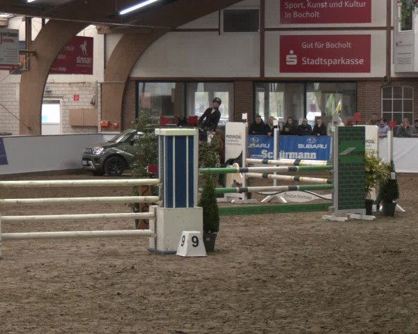 Reitturnier Barlo-Bocholt 2025