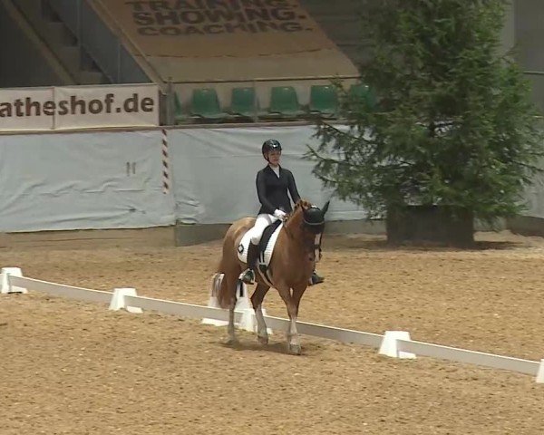 Reitturnier Kreuth/Opf. 2025