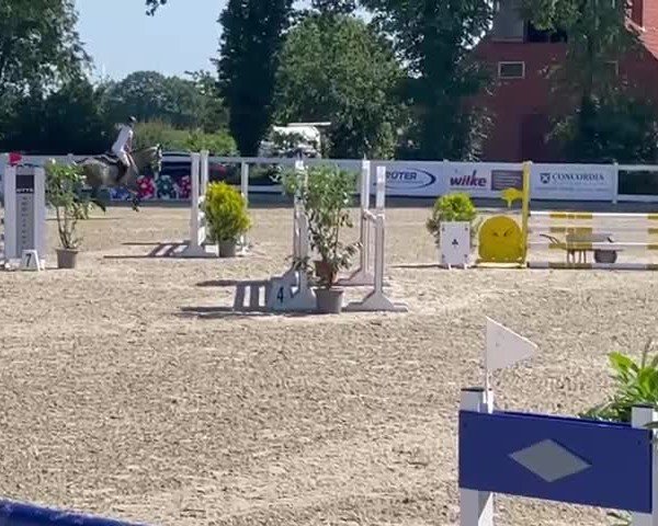 Video von Chelesta