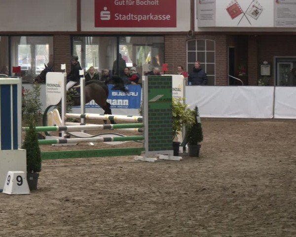 Reitturnier Barlo-Bocholt 2025