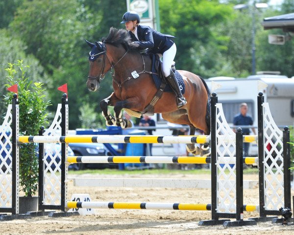 jumper Kane - O (KWPN (Royal Dutch Sporthorse), 2015, from Zambesi TN)
