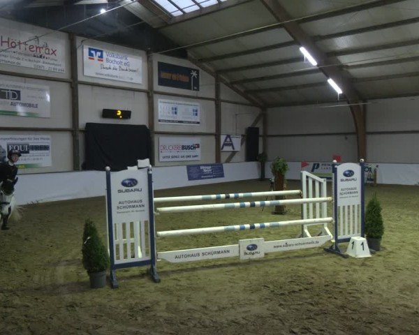 Reitturnier Barlo-Bocholt 2025