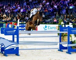 jumper L-Dora van de Zietfort (KWPN (Royal Dutch Sporthorse), 2016, from Eldorado van de Zeshoek)