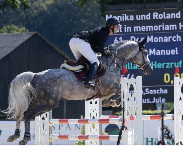 stallion Der Monarch (Trakehner, 2018, from Abdullah)