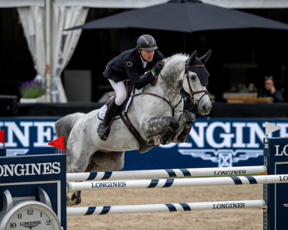 Springpferd Albright GJB (KWPN (Niederländisches Warmblut), 2011, von Namelus R)