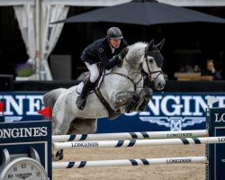 jumper Albright GJB (KWPN (Royal Dutch Sporthorse), 2011, from Namelus R)