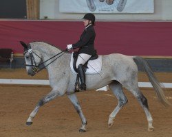 dressage horse Benetton's Artistique (Bavarian, 2011, from Benetton Dream FRH 1301)