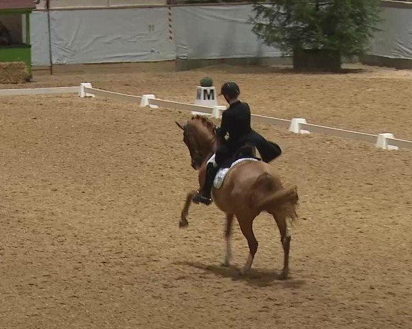 Reitturnier Kreuth/Opf. 2025