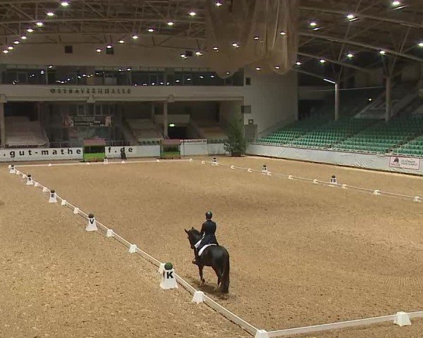 Reitturnier Kreuth/Opf. 2025