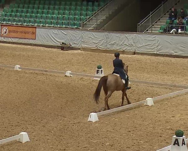Reitturnier Kreuth/Opf. 2025