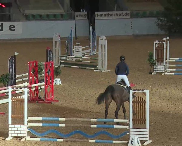 Reitturnier Kreuth/Opf. 2025