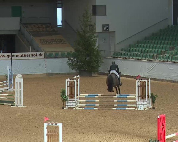 Reitturnier Kreuth/Opf. 2025