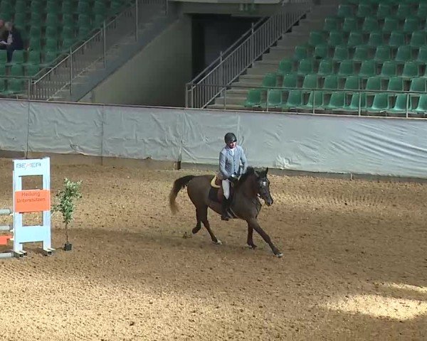 Reitturnier Kreuth/Opf. 2025