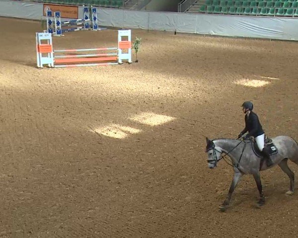 Reitturnier Kreuth/Opf. 2025