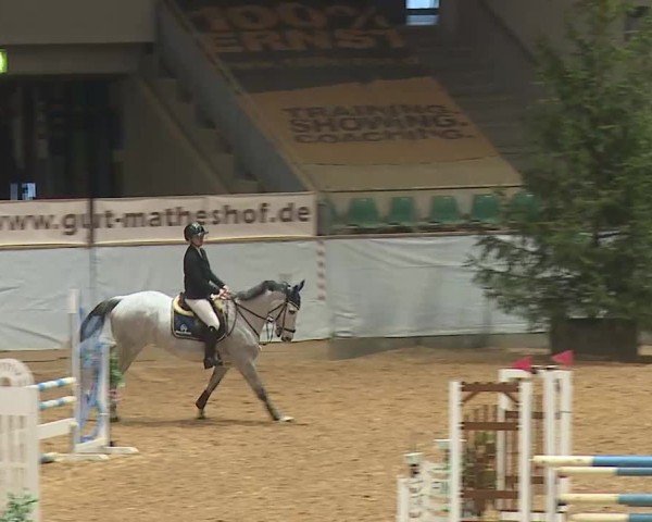 Reitturnier Kreuth/Opf. 2025