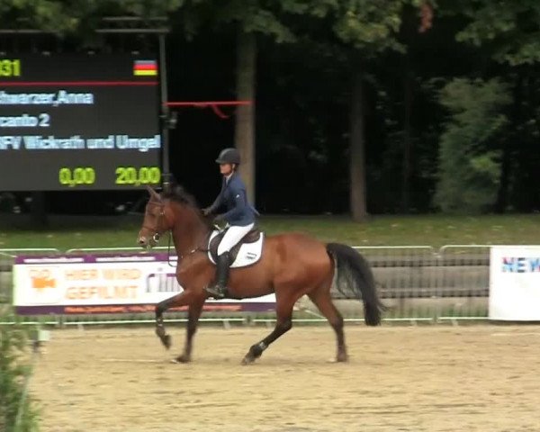 Mönchengladbach-Wickrather Reitertage 2013
