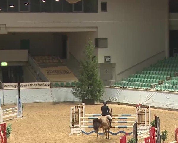 Reitturnier Kreuth/Opf. 2025