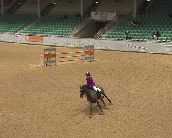 Reitturnier Kreuth/Opf. 2025