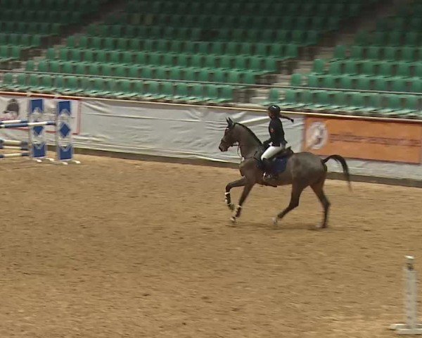 Reitturnier Kreuth/Opf. 2025