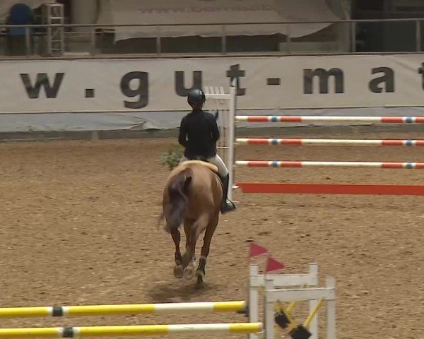 Reitturnier Kreuth/Opf. 2025