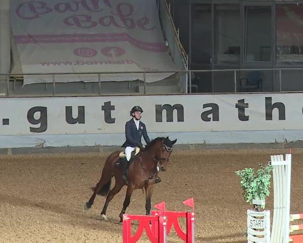 Reitturnier Kreuth/Opf. 2025