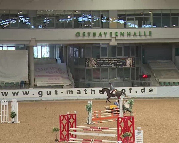 Reitturnier Kreuth/Opf. 2025