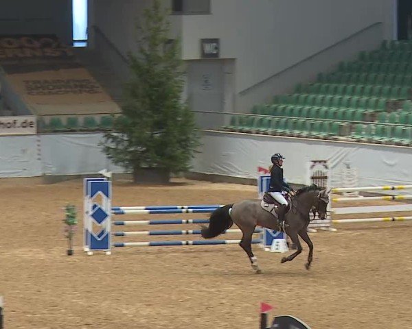 Reitturnier Kreuth/Opf. 2025