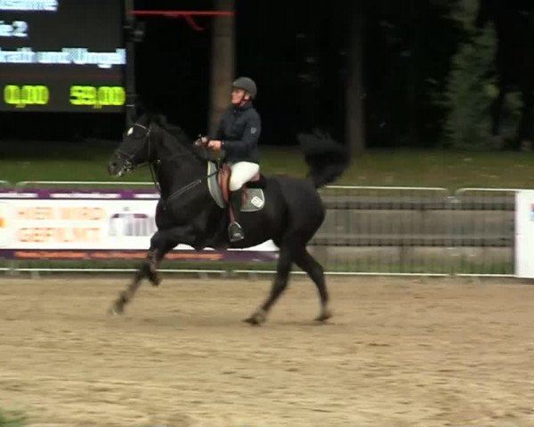 Mönchengladbach-Wickrather Reitertage 2013